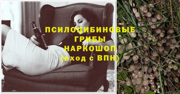 a pvp Арсеньев