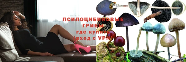 а пвп мука Аркадак