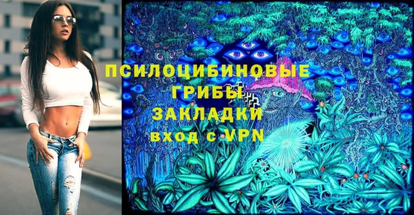 бошки Мегион