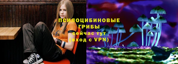 a pvp Арсеньев
