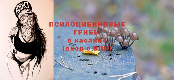 а пвп мука Аркадак